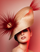 Liza Stedman Millinery