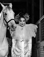 Liza Stedman Millinery